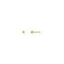 BRINCO BOLINHA LISA 2MM