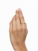 ANEL APARADOR CRAVEJADO